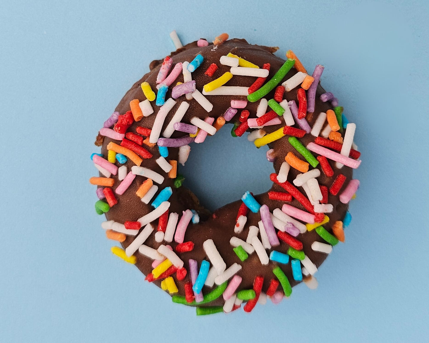 Large doggy donuts 6 pack