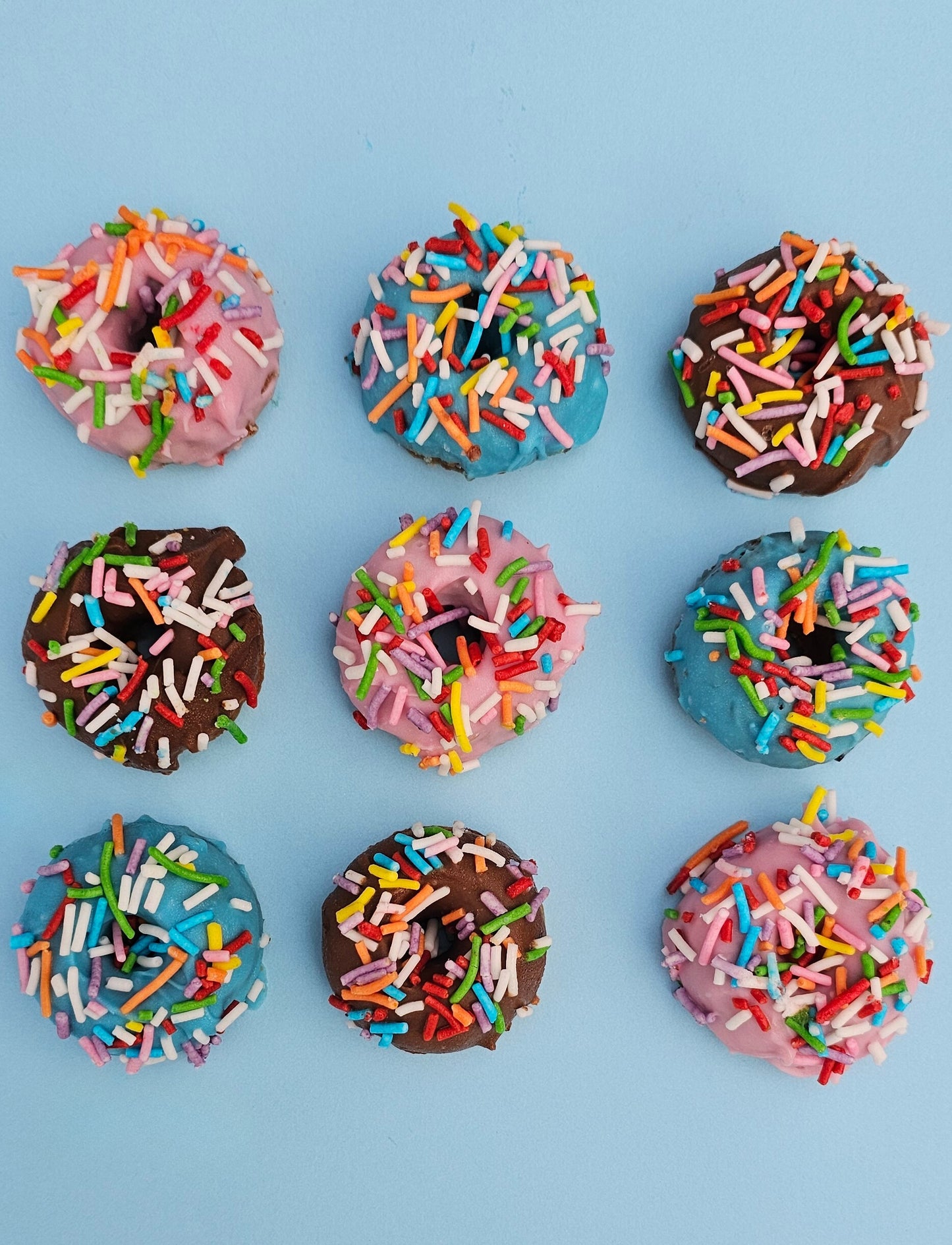 Small doggy donuts 9 pack