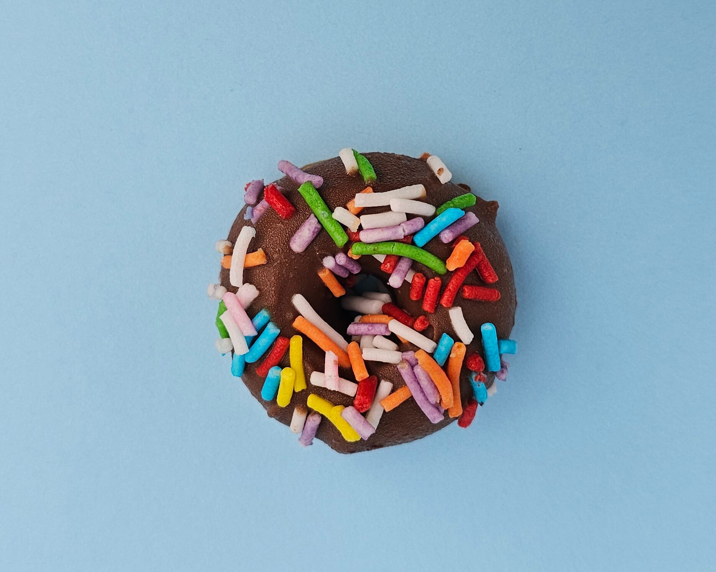 Small doggy donuts 9 pack